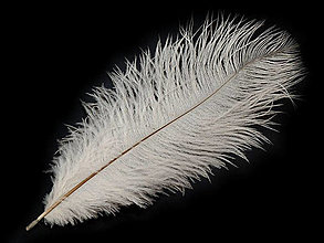 Suroviny - Pštrosie perie 20-25 cm 2 ks (biela) - 14835282_