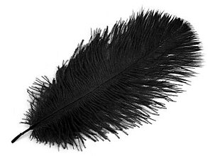 Suroviny - Pštrosie perie 20-25 cm 2 ks (čierna) - 14835283_