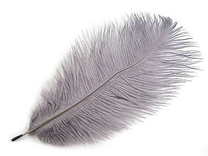 Suroviny - Pštrosie perie 20-25 cm 2 ks (šedá holubia) - 14835292_