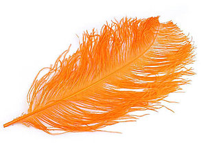 Suroviny - Pštrosie perie 60 cm (oranžová dyňová) - 14835310_