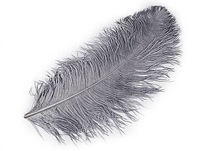 Suroviny - Pštrosie perie 60 cm (šedá) - 14835324_