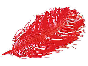 Suroviny - Pštrosie perie 60 cm (červená) - 14835326_