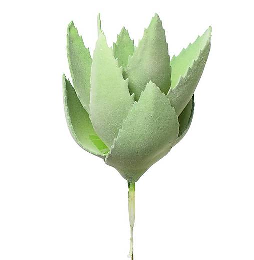 Kaktus sukulent 20cm penový - umelohmotná dekorácia