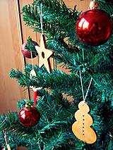 Dekorácie - Kapor - vianočná ozdoba (Jelša) - 14837351_