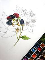 Obrazy - Obraz Černica (Rubus fruticosus) - 14845753_