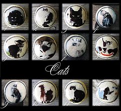 Nábytok - Keramické úchytky, série Cats - 14850352_