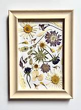 Dekorácie - Obraz z lisovaných kvetov - 14859653_