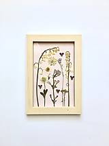 Dekorácie - Obraz z lisovaných kvetov - 14861057_