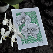 Obrazy - Orchidea - 14867977_
