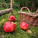 Stojaca dekorácia Zber jabĺčok