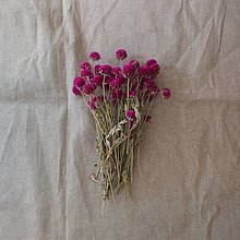 Suroviny - Gomfréna fialová sušená - 14872087_