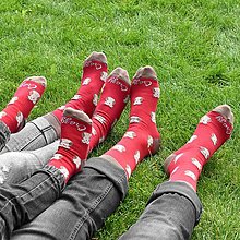 Ponožky, pančuchy, obuv - (Z13) Červené ponožky so sovičkou - 14875537_