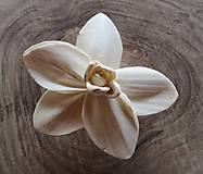 Polotovary - Prírodný kvet Orchidea - 14877865_