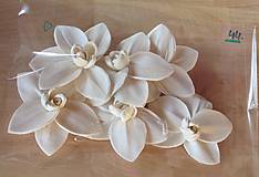 Polotovary - Prírodný kvet Orchidea - 14877876_