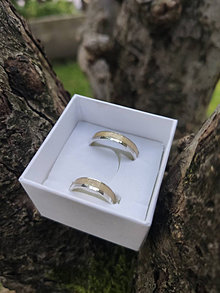 Prstene - Strieborný prsteň JURING Elegance Javor - 14877578_