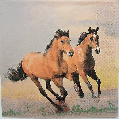Papier - Servítka D 215 - 14880465_