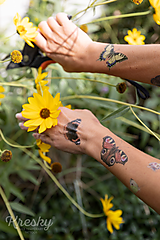 Tetovačky - Dočasné tetovačky - Motýle (62) - 14885982_