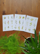 Papiernictvo - Pohľadnice rastlinné - 14885578_