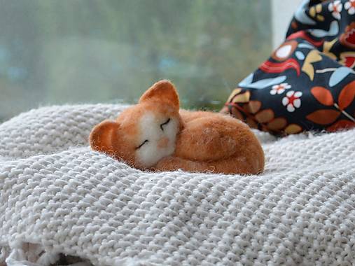 Spiace mačiatko (Oranžová)