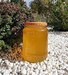 Včelie produkty - Agátový med veľké balenie - 14891488_