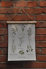 Grafika - Print - Bylinka Kuchyňa - 14895872_