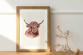 Kresby - Plagát| Škótsky býk - 14900135_