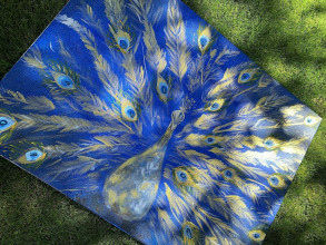 Obrazy - Peacock - duch páva - 14902074_