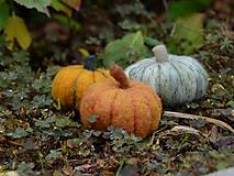 Dekorácie - Jesenné tekvičky (Béžová) - 14909321_