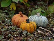Dekorácie - Jesenné tekvičky (Zelená) - 14909326_