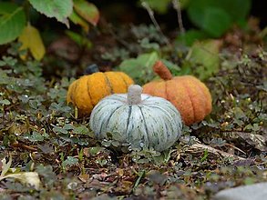 Dekorácie - Jesenné tekvičky (Zelená) - 14909324_