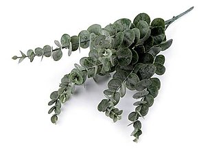 Polotovary - Umelý eukalyptus (Zelená) - 14907655_