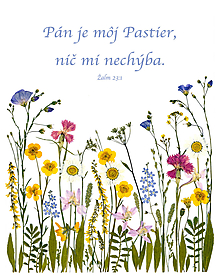 Obrazy - Obrázok z lisovaných kvetov lúka Pán je môj pastier - 14941092_
