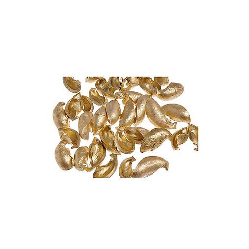 Sušený EAR 15 g - Zlatý CAN1814