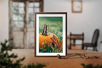 Fotografie - Photo Art| Oranžová tekvica v tráve - 14953986_