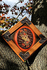 Obrazy - Nástenná dekorácia v drevenom ráme s nočným motýľom - 14953425_