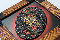 Obrazy - Nástenná dekorácia v drevenom ráme s nočným motýľom - 14953426_