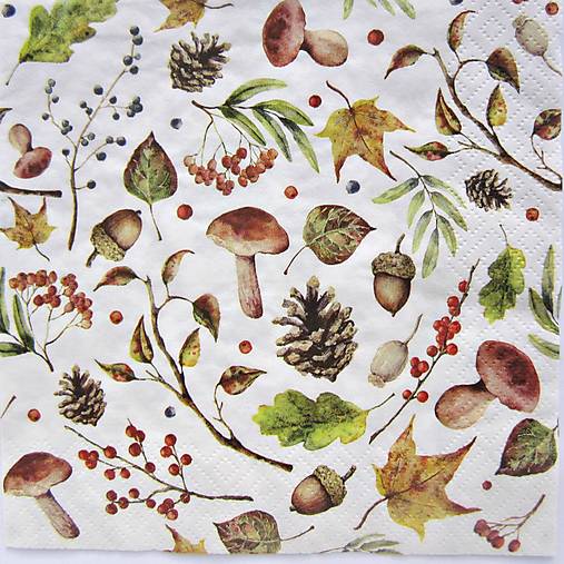 Papier - Servítka  P 212 - 14965148_