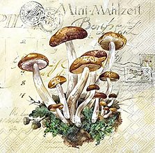 Papier - Servítka  P 213 - 14965139_