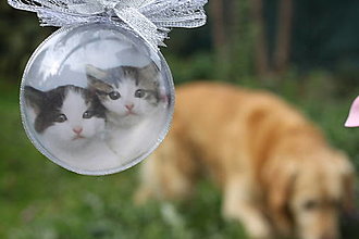 Dekorácie - Vianočný darček pre milovníkov mačiek - 14965927_