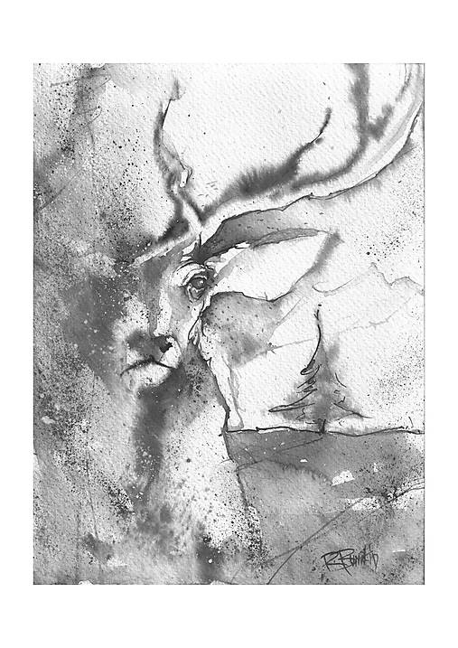 Grafika - Posledná jedľa - 14976304_