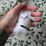 Polotovary - Biela sova na halúzke - 14975652_