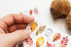 Papier - Samolepky "Crunchy leaves /mini" - 15010973_