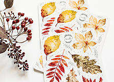 Papier - Samolepky "Crunchy leaves " - 15010983_