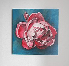 Obrazy - Ruža, 40 x 40 cm, akryl - 15020634_