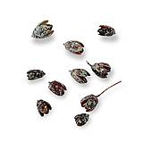 Suroviny - Sušený plod BAKULI prírodný 5 ks - Perleťový glitter H203560 - 15056075_