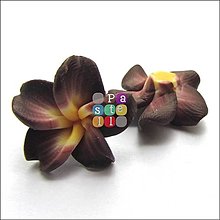 Korálky - (0268) FIMO kvet, 20 mm - 1 ks - 15067598_