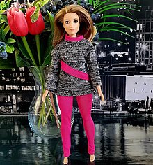 Hračky - Komplet pre plnoštíhlu Barbie - 15067659_