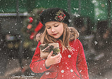 Brošne - Vianočná brošňa - 15074299_