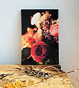 "Letní růže", fotoobraz A4