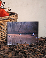 "Zimní pohádka o pěti labutích", magnetka /velikost pohlednice